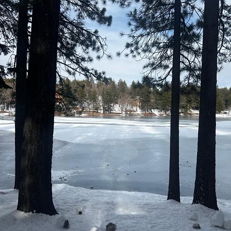 Vila Beautiful Mountain Cabin Getaway Green Valley Lake Exteriér fotografie